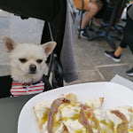 Photo n°3 de l'avis de Margherita.e fait le 27/08/2021 à 14:24 sur le  Restaurant Bar Piazzetta à Orta San Giulio