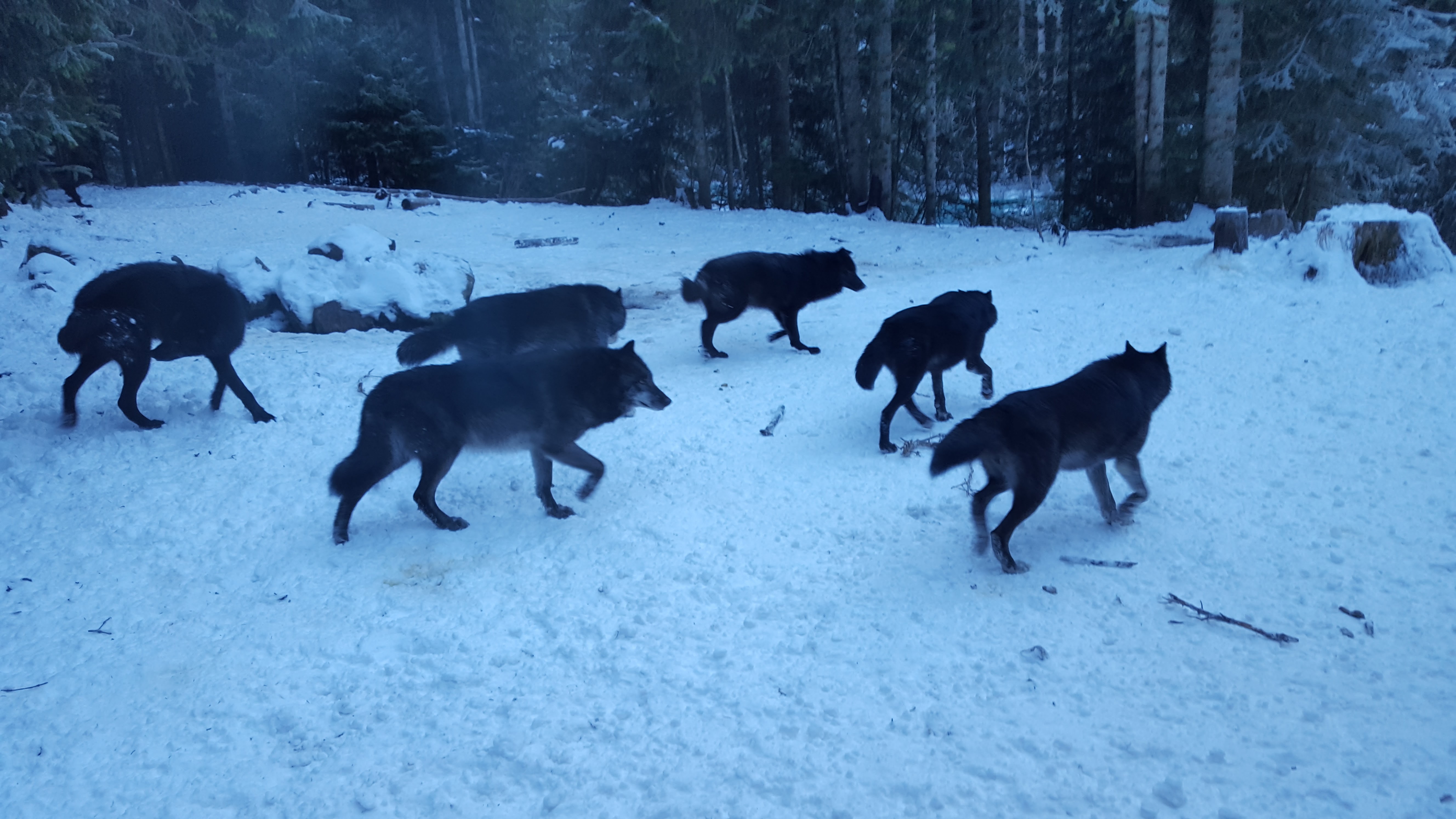 Photo n° 9 de l'avis de Pacôme.l fait le 16/01/2017 à 15:09