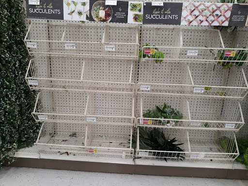 Craft Store «Michaels», reviews and photos, 5 McKenna Rd, Arden, NC 28704, USA