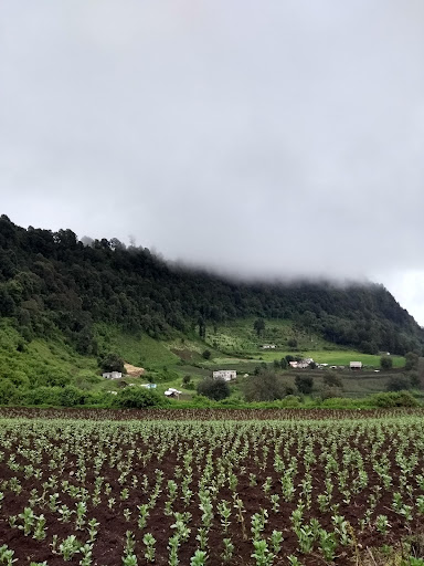 Bodega Aurrera, Toluca Aztecas