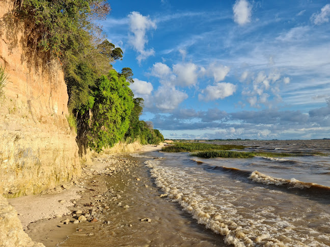 Opiniones de Camping Parque Brisas del Plata en Colonia - Camping