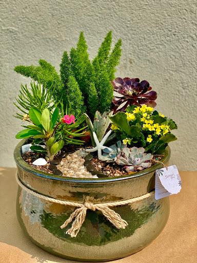 Florist «Ferrari Florist and Gifts», reviews and photos, 345 Soquel Ave, Santa Cruz, CA 95062, USA