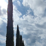 Photo n°2 de l'avis de Jürgen.t fait le 26/09/2023 à 16:36 sur le  Dievole Wine Resort à Castelnuovo Berardenga