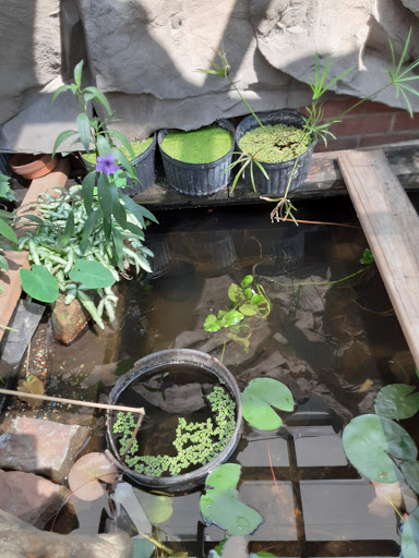 Pet Store «Fish-N-Pets Unlimited», reviews and photos, 11710 Bissonnet St, Houston, TX 77099, USA