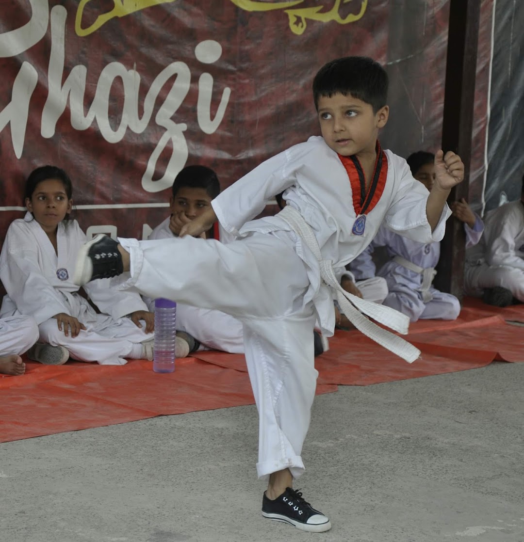 Ghazi Taekwondo Martial Art & Fitness Club