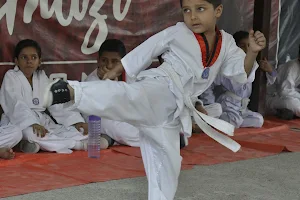 Ghazi Taekwondo Martial Arts & Fitness Club image