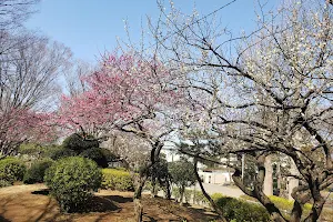 Kitanarashino Neighboring Park (Kitanarashino Kin-rin Kōen) image