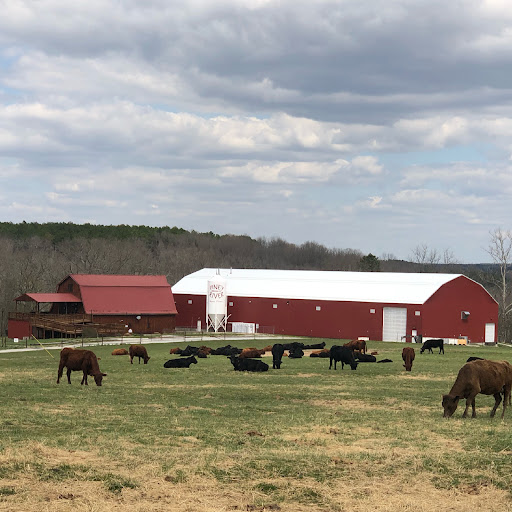 Piney River Brewing Company