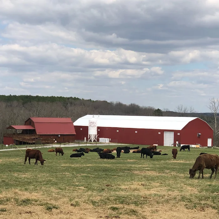Photo of Piney River Brewing Company in Bucyrus Missouri