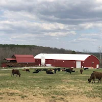 Piney River Brewing Company in Bucyrus, Missouri - 4.90 star rating