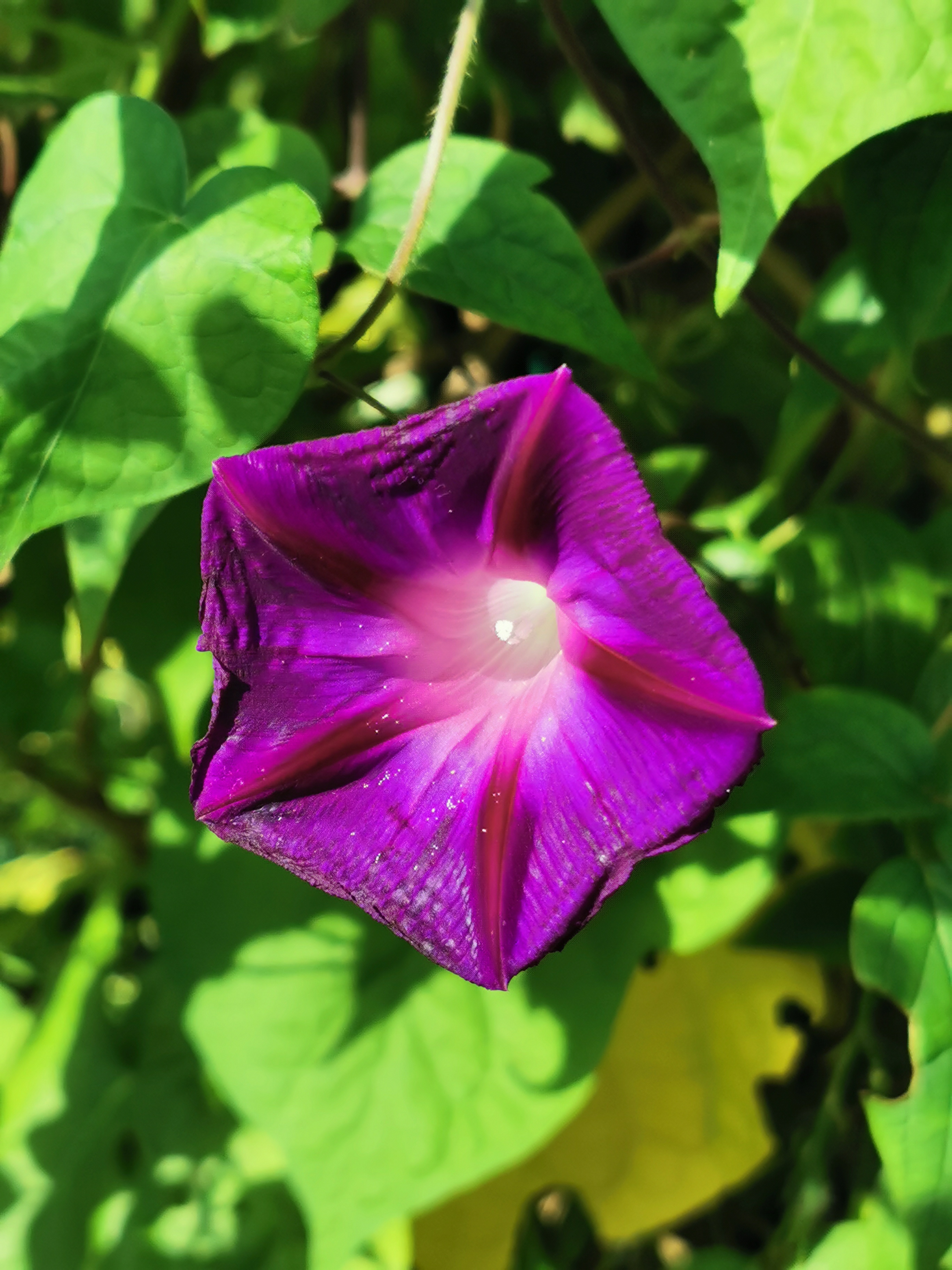 Photo n° 9 de l'avis de Sylvie.a fait le 22/08/2023 à 18:08