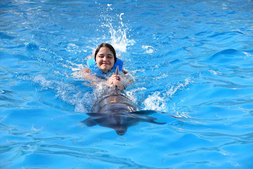 Tour Agency «Miami Swim With Dolphin Tours», reviews and photos, 247 SW 8th St, Miami, FL 33130, USA