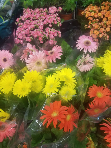 Florist «Sieck-Wright Floral Products», reviews and photos, 231 Monmouth St, Hightstown, NJ 08520, USA