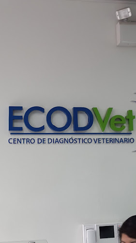 Opiniones de ECODVet en Pueblo Libre - Veterinario