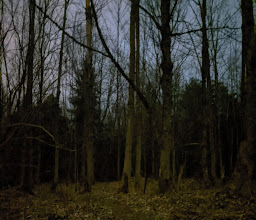 Giesinger Waldhaus photo