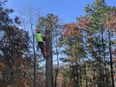 US Tree Climbers LLC