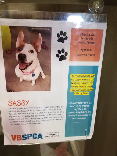 Pet Supply Store «Virginia Beach SPCA Pet Supplies & Adoption Center», reviews and photos, 983 Providence Square Shopping Center, Virginia Beach, VA 23464, USA
