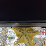 Photo n° 5 de l'avis de andre.a fait le 13/03/2024 à 11:01 pour Aquarium de Lyon à La Mulatière