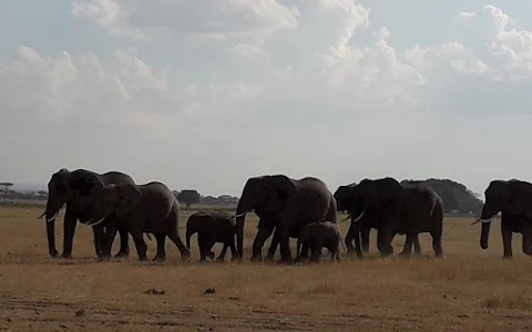Kenya Safari Bookings image