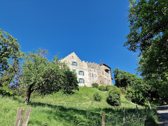 Schloss Wellenberg - Frauenfeld