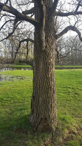 Park «Wayne County Parks & Rec», reviews and photos, 33175 Ann Arbor Trail, Westland, MI 48185, USA