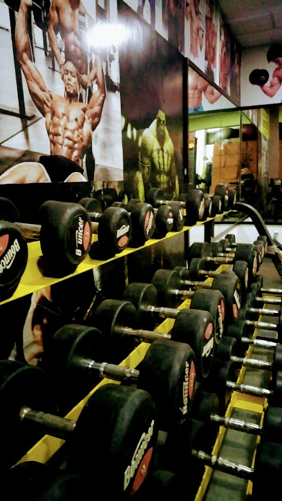 THE ROYAL FITNESS GYM Best gym for ahmedabad - Atul Indian motors 3rd floor.,sakti engg BRTS WORKSHOP, Narol Rd, Ahmedabad, Gujarat 380028, India