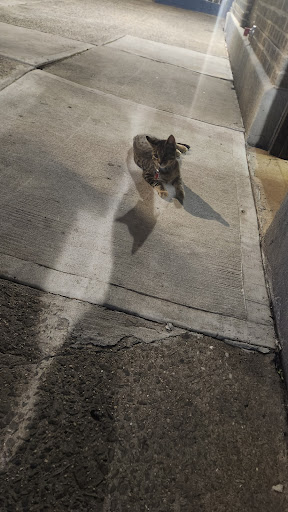 Explore first tattoo ideas for black females, creative tattoo ideas in Bronx, available at Speak EZ Ink tattoo studio