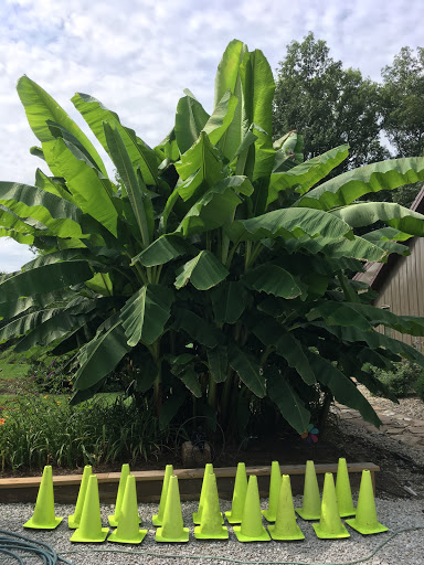 Funeral Home «Light Memorial & Funeral Chapel», reviews and photos, 585 E Main St, Monrovia, IN 46157, USA