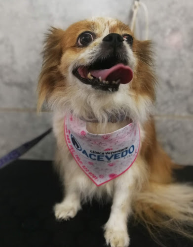 Jr. Francisco Bolognesi 188, Urb. Playa Rimac, Callao, Perú