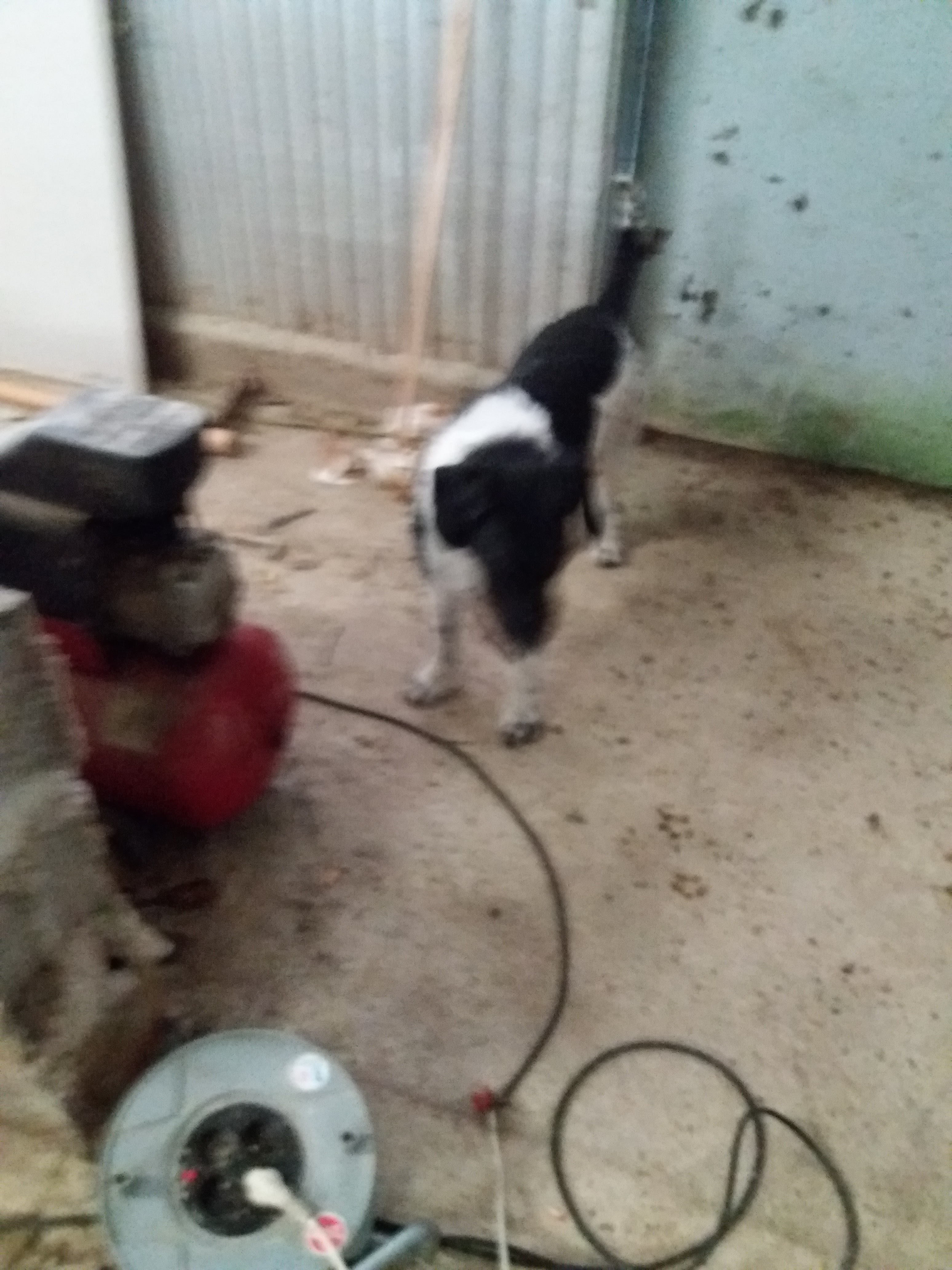 Photo n° 1 de l'avis de Thierryl.o fait le 06/03/2018 à 14:23