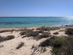 Zdjęcie Kurrajong Beach położony w naturalnym obszarze