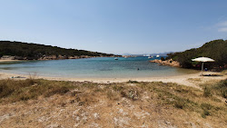 Laura Beach'in fotoğrafı vahşi alan