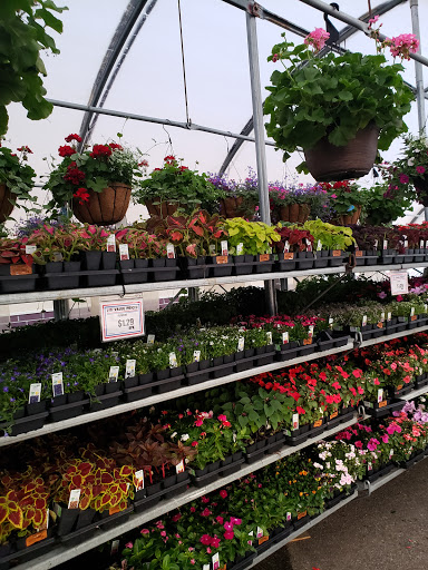 Supermarket «Family Foods», reviews and photos, 610 Cedar St, Tipton, IA 52772, USA