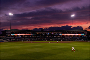 Great Lakes Loons image