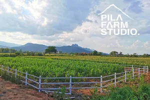 PILA Farm Studio (วิสาหกิจชุมชนพิลาฟาร์มสตูดิโอ) image