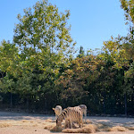 Photo n°3 de l'avis de stefano.t fait le 09/09/2023 à 21:38 sur le  Parco Zoo Falconara Srl à Falconara Marittima