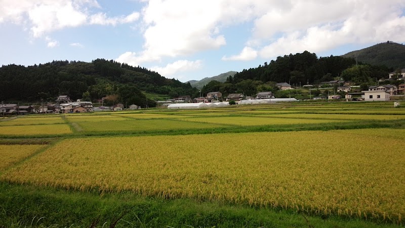 花見山