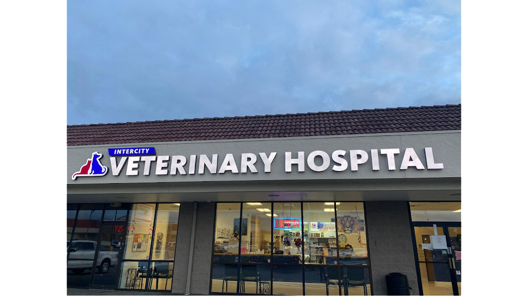 Value Vet Animal Clinic