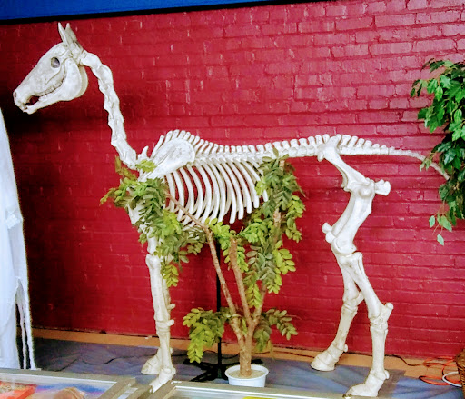 Concert Hall «Goodyear Theater», reviews and photos, 1201 E Market St, Akron, OH 44305, USA