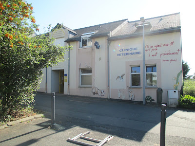 Clinique Vétérinaire Grand Maine Angers 49 - Chien Chat NAC à Angers