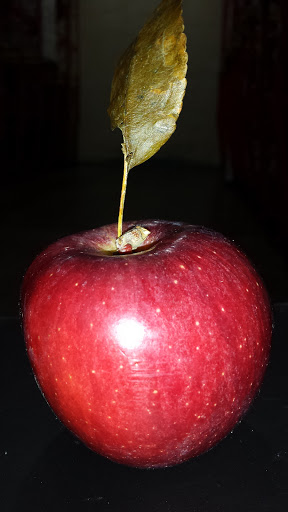 Electronics Store «Best Buy», reviews and photos, 6809 W Canal Dr, Kennewick, WA 99336, USA