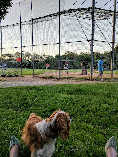 Park «ROGERS PARK», reviews and photos, 30 Rogers Park Ave, Boston, MA 02135, USA