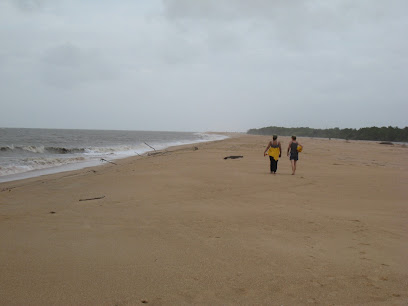 Descubre las paradis&iacute;acas playas de Surinam: un tesoro escondido en Sudam&eacute;rica