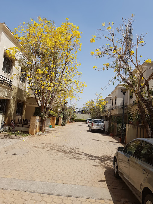 Google Maps image 25