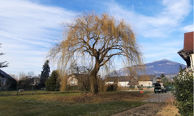 Cordier Elagage à Le Bourget-du-Lac