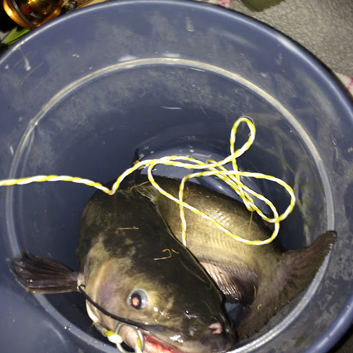 Pet Supply Store «Blue Parkway Bait & Pet Supplies», reviews and photos, 6921 Blue Pkwy, Kansas City, MO 64129, USA