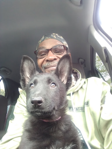 Pet Supply Store «Pet Supplies Plus», reviews and photos, 494 Westgate Dr, Brockton, MA 02301, USA