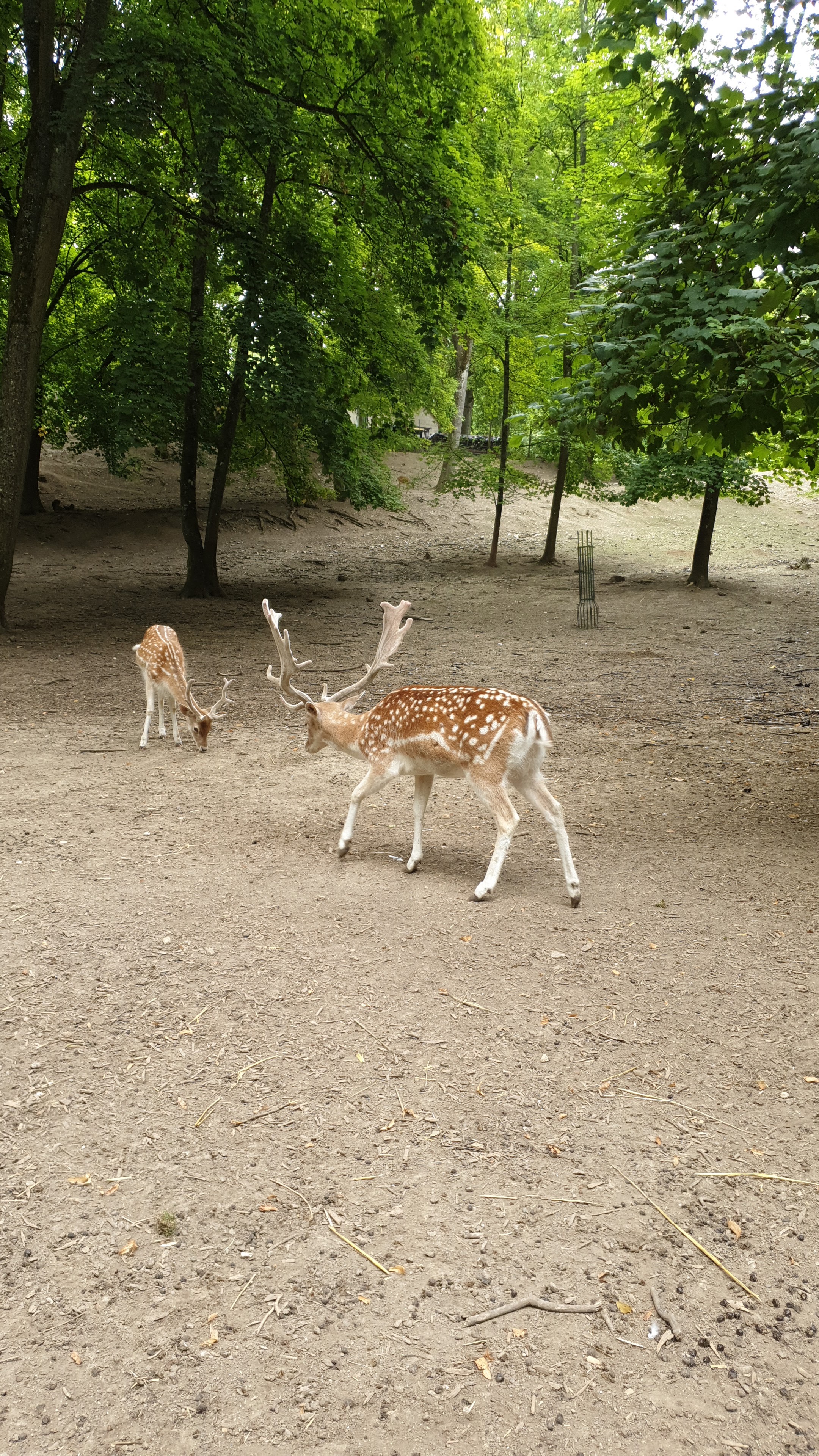Photo n° 2 de l'avis de Laurent.a fait le 04/08/2019 à 13:54
