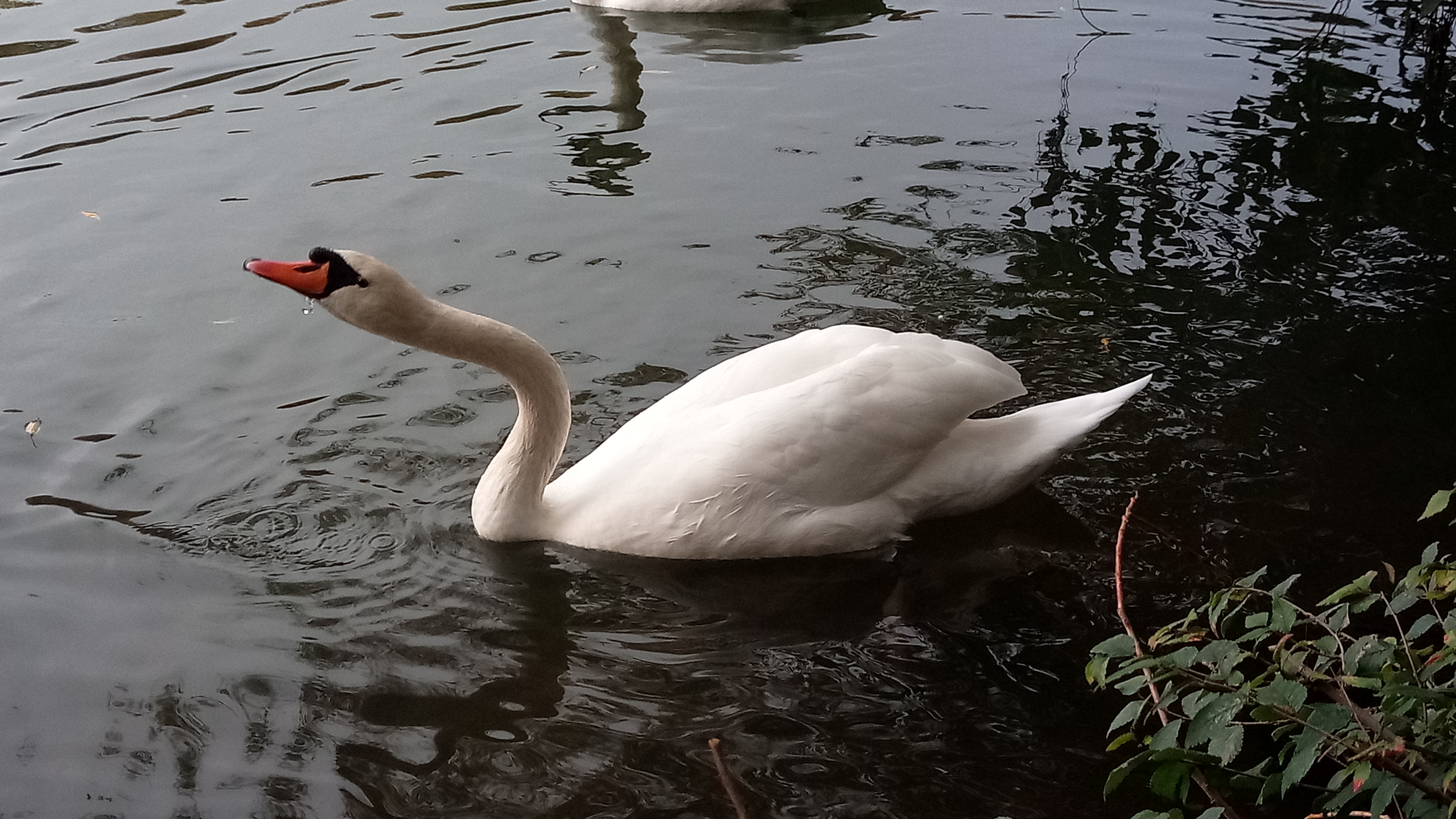 Photo n° 14 de l'avis de Arnaud.N fait le 19/05/2019 à 09:20