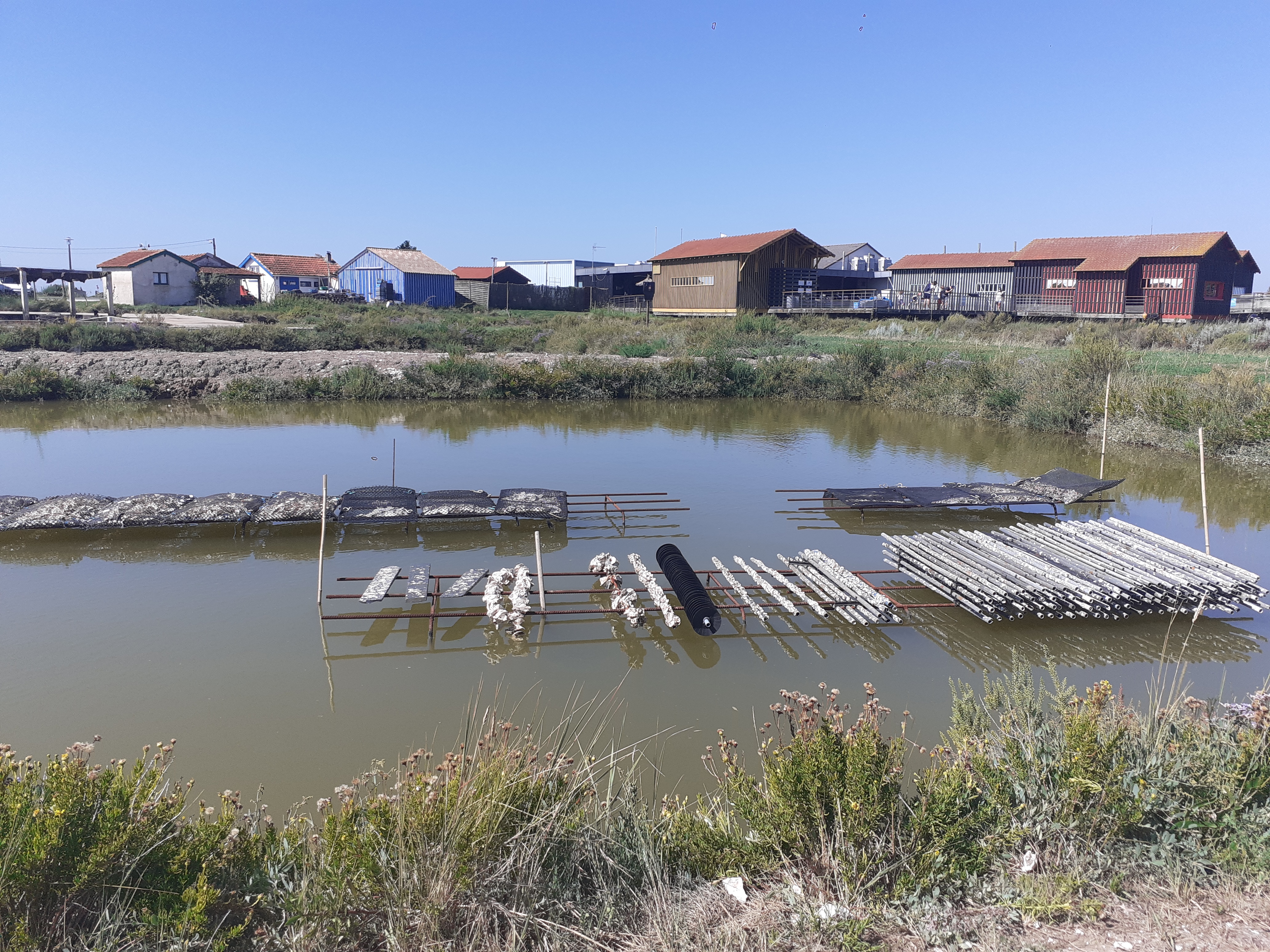 Photo n° 14 de l'avis de Guillaume,.� fait le 14/08/2021 à 05:22